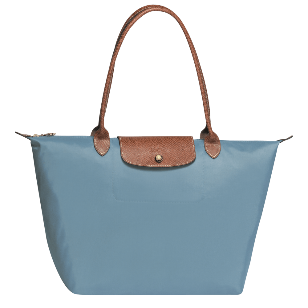 longchamp le pliage arctic